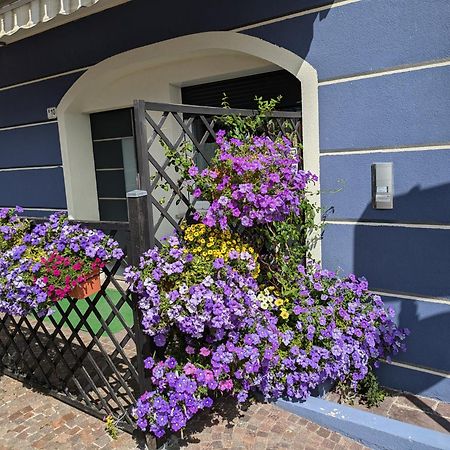 Apartments Giovannini Fai della Paganella Zewnętrze zdjęcie